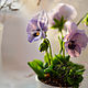 Order Pansy. Botanical sculpture. KG_flowers. Livemaster. . Flowers Фото №3