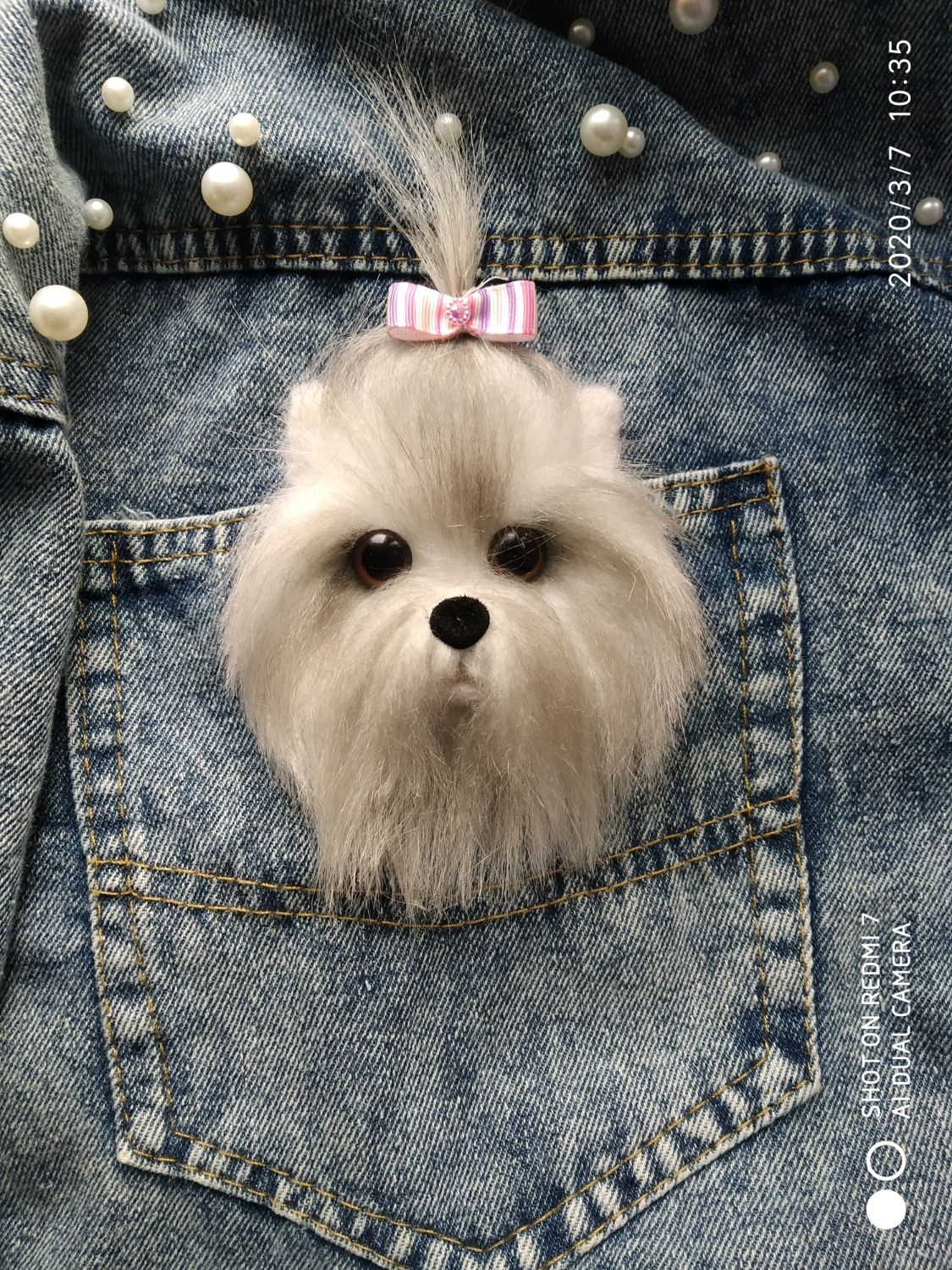 Собака в кармане
