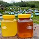 Дягилевый мед урожая 2022г, Мед, Чарышское,  Фото №1
