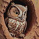 Order Kits for embroidery with beads: Owlet. Beaded embroidery from Laura. Livemaster. . Embroidery kits Фото №3