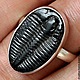 Кольцо "Artefact" с трилобитом. Кольца. DragonStone. Интернет-магазин Ярмарка Мастеров.  Фото №2