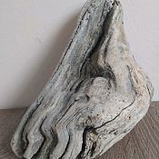 Коряга дрифтвуд driftwood светлая