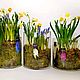 Первоцветы в Цилиндре 25см Весеники на 8 марта. Подарки на 8 марта. DARK FLORIST Флористика Декор ЦВЕТЫ. Интернет-магазин Ярмарка Мастеров.  Фото №2