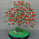 Tree of Australian jade and red coral ' Camellia», Trees, Maikop,  Фото №1