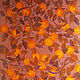 batik scarf 'Oranges and lizards'. Shawls1. Amarga SilkPainting. Online shopping on My Livemaster.  Фото №2