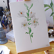 Картины и панно handmade. Livemaster - original item Pictures: Flower white Lily Botanical watercolor. Handmade.