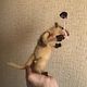 Муравьед Чарли из мультфильма Рио. Мягкие игрушки. Марина Скорикова. Ярмарка Мастеров.  Фото №6