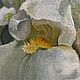 Картина цветы маслом «Притяжение». Картины. Картины маслом Антонина Любецкая. Ярмарка Мастеров.  Фото №4