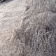 Мериносовый батт беж (Carded Wool Batts) 450 гр, Войлок, Крайстчерч,  Фото №1