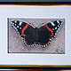  ' Butterfly' - pastel painting. Pictures. Kartiny s lyubovyu. Ярмарка Мастеров.  Фото №4