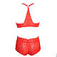 A set of Lacy underwear of Red Passion. Underwear sets. Darya Vecher Шёлковое нижнее бельё Корсеты. My Livemaster. Фото №5