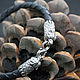 Кожаный браслет: Хозяин леса (Brs009), Браслет плетеный, Санкт-Петербург,  Фото №1
