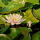 Oil painting on canvas. Water lilies. Pictures. Painting gallery of Metsenatova Val. Online shopping on My Livemaster.  Фото №2