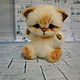 Котенок Хмурый. Мягкие игрушки. Nellidolls(Нелли Иванова). Ярмарка Мастеров.  Фото №5