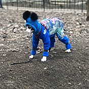 Зоотовары handmade. Livemaster - original item Cat clothes Fleece jumpsuit 