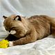 Order Realistic collectible toy cat 'Baron'. zubarevairina. Livemaster. . Stuffed Toys Фото №3