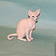 Order Sphinx cat. Anna Petinati- Live toys handmade. Livemaster. . Stuffed Toys Фото №3