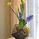 Весенний флорариум с первоцветами, Флорариумы, Санкт-Петербург,  Фото №1