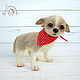 Needle felted toy Chihuahua dog. Felted Toy. Yulia Steklyannikova (julias14). Online shopping on My Livemaster.  Фото №2