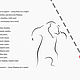 Колобок – Памятка для взрослых и учебное пособие для детей. Иллюстрации и рисунки. Цифровая графика. Ярмарка Мастеров.  Фото №4