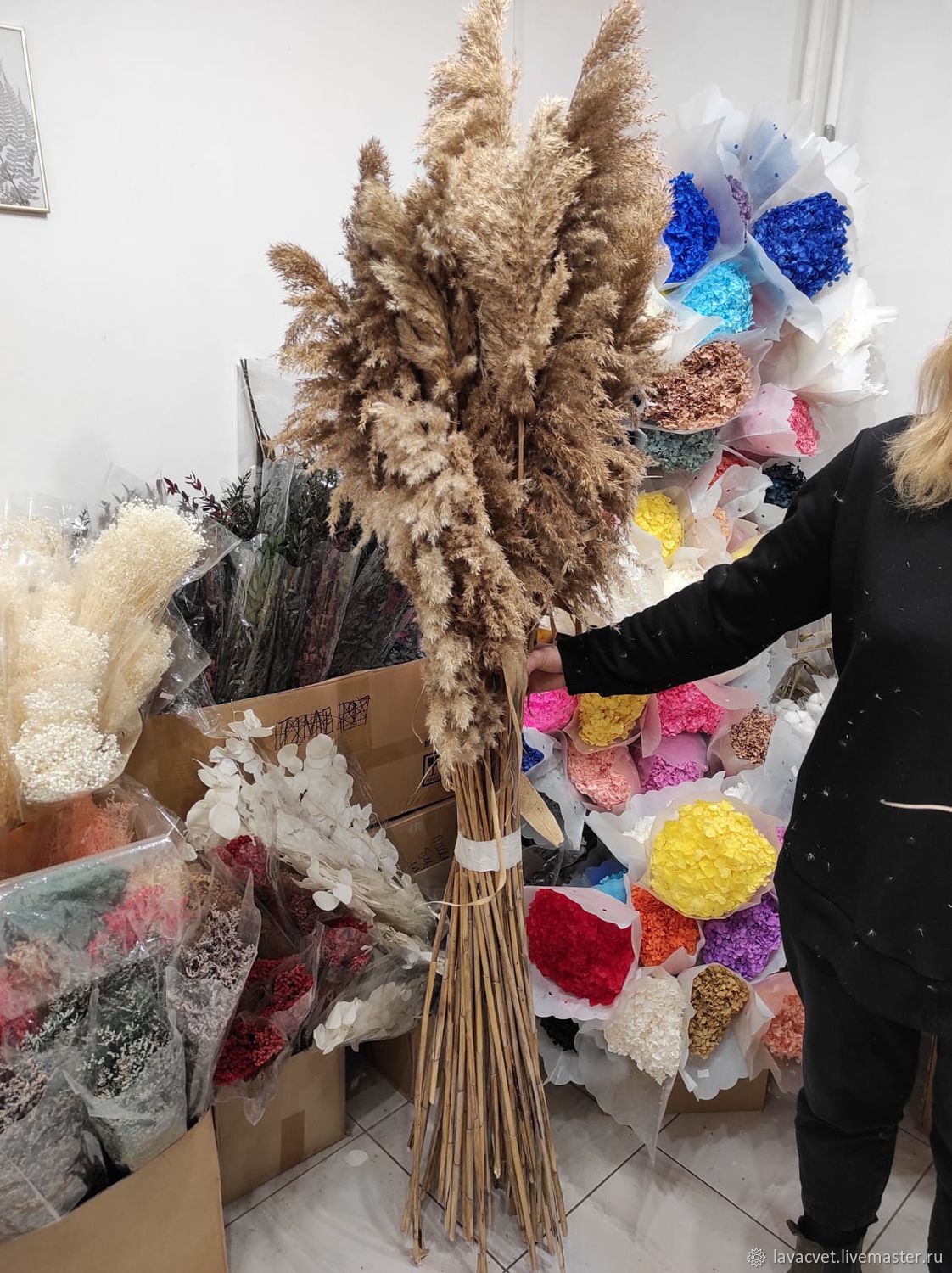 Камыш сухоцвет. Натуральный купить в интернет-магазине Ярмарка Мастеров ...