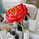 Пион " Sunset" из холодного фарфора. Цветы. alenailiasovaflower. Ярмарка Мастеров.  Фото №4