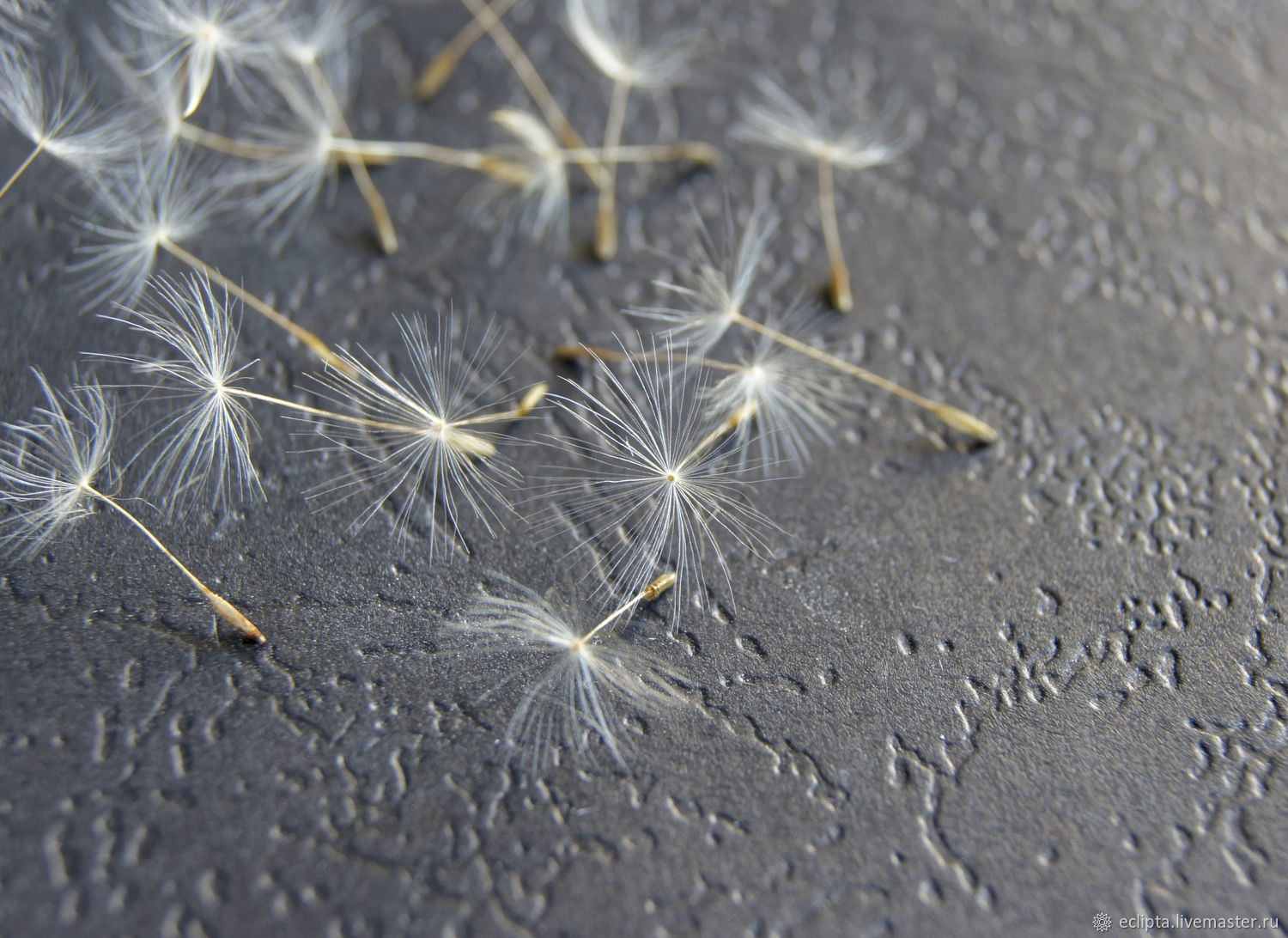 Семена на парашютиках платонов семен кратко