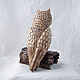 Figurine Owl. Figurines. Elena Zaychenko - Lenzay Ceramics. My Livemaster. Фото №6
