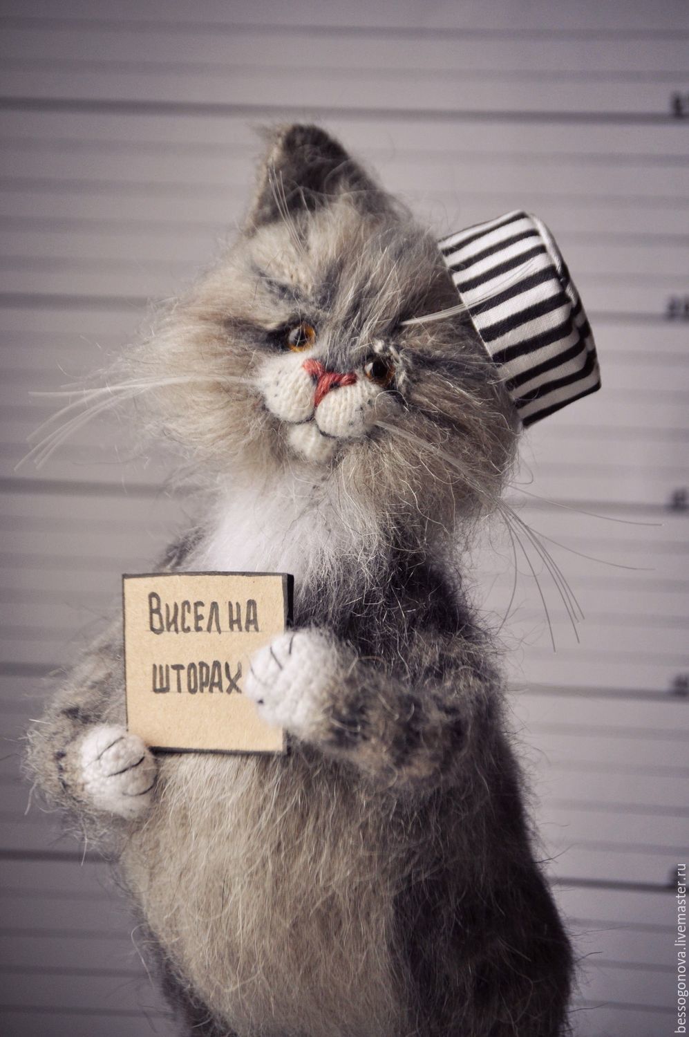 Виноватый котик