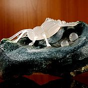 Зуб акулы, ископаемый