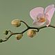Бутоны орхидеи фаленопсис силиконовые молды. Молды. Ceramic Flowers. Ярмарка Мастеров.  Фото №6