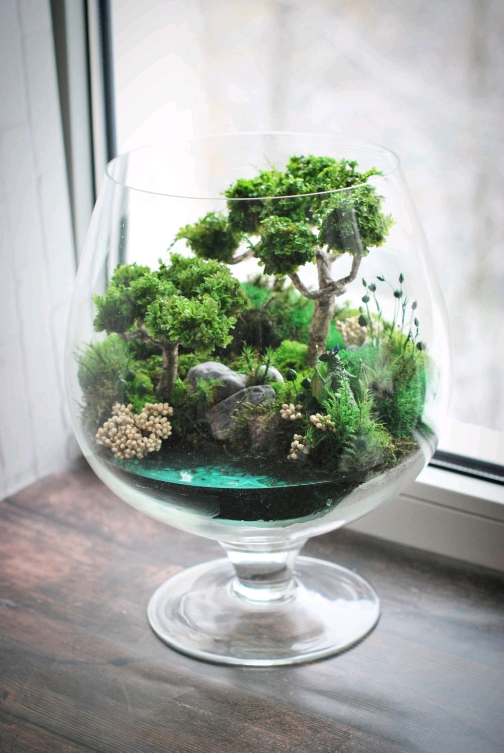 Флорариум, сад в стекле, DIY, мастер-класс