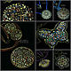 Transformer Contemplation Pendant (676) (677) Designer Jewelry. Pendant. Svetlana Parenkova (parenkova). My Livemaster. Фото №7
