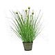 Grass with inflorescence in a metal bucket. Plants. best-coll-mos. Online shopping on My Livemaster.  Фото №2