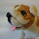 Order Bulldog Athena. The toy is made of wool. colorlight (colorlight). Livemaster. . Felted Toy Фото №3