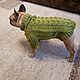 Sweater for French bulldog/pug (different color). Pet clothes. anyapetrova05. Online shopping on My Livemaster.  Фото №2