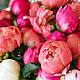 MAGNOLIA AND PEONY (МАГНОЛИЯ И ПИОН) CandleScience, Ароматизаторы, Самара,  Фото №1