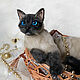 Realistic cat Celia. Teddy Toys. VaKulina (Valentina) Teddy Bear. My Livemaster. Фото №4