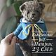 Выкройка: Мишка Тедди Патрик 23 см, Выкройки, Москва,  Фото №1