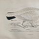 Винтаж: Антикварная ксилография 1853 года. Картины винтажные. BERËZA ANTIQUES. Интернет-магазин Ярмарка Мастеров.  Фото №2