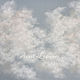 Order The marshmallow clouds. Annet Loginova. Livemaster. . Pictures Фото №3
