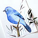 'Ultramarine' watercolor painting (birds, blue, light blue), Pictures, Korsakov,  Фото №1
