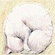 "Теплый нос" карандаши, графика (коты, кошки, животные), Картины, Корсаков,  Фото №1