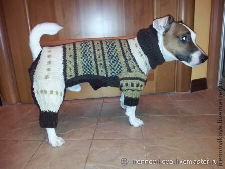 Одежда для собак своими руками Dress for dogs