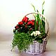 Заказать Композиция"Красавица"Цветущие растения в корзине к 8 марта. DARK FLORIST Флористика Декор ЦВЕТЫ. Ярмарка Мастеров. . Композиции Фото №3