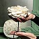 Фарфор «Любимая Роза» на подставочке, бисквитный фарфор ручной работы. Скульптуры. Левченкова Татьяна. Ярмарка Мастеров.  Фото №6