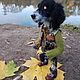 Заказать Спаниель Гоша- охотничий пёс.Войлочная интерьерная игрушка. Svetlana Vlasova felting. Ярмарка Мастеров. . Войлочная игрушка Фото №3