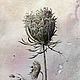Картина акварелью полевые цветы картина в винтажном стиле, Картины, Томск,  Фото №1