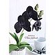 Order Orchid black blooming phalaenopsis in pots decorative not alive. Именные сувениры и деревянная упаковка. Livemaster. . Flowers Фото №3