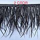 Trim of ostrich feathers 10-15 cm black. braid. Weakne - furniture and fabrics (weakne). Online shopping on My Livemaster.  Фото №2